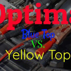 Optima Bluetop vs Yellowtop