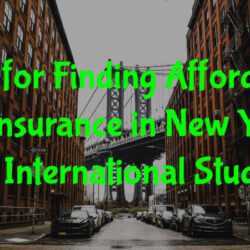 Tips for Finding Affordable Auto Insurance in New York as An International Student